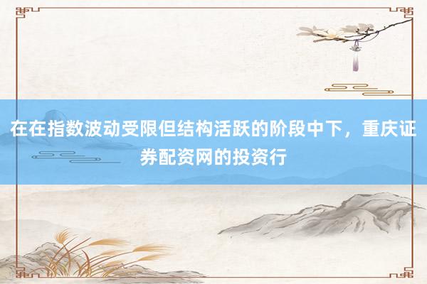 在在指数波动受限但结构活跃的阶段中下，重庆证券配资网的投资行
