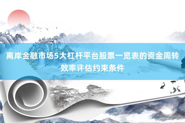 离岸金融市场5大杠杆平台股票一览表的资金周转效率评估约束条件