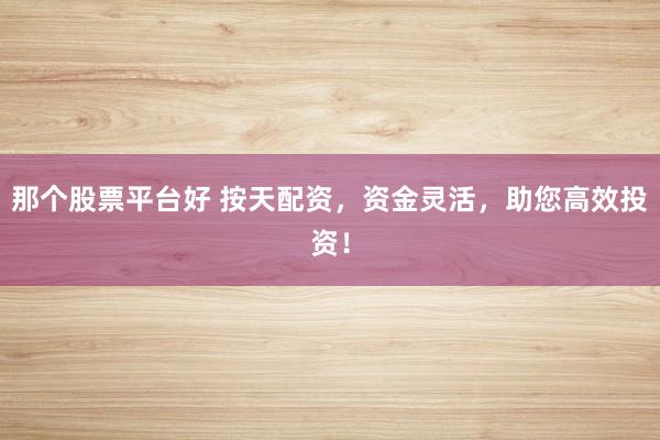 那个股票平台好 按天配资，资金灵活，助您高效投资！