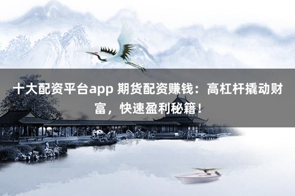 十大配资平台app 期货配资赚钱：高杠杆撬动财富，快速盈利秘籍！
