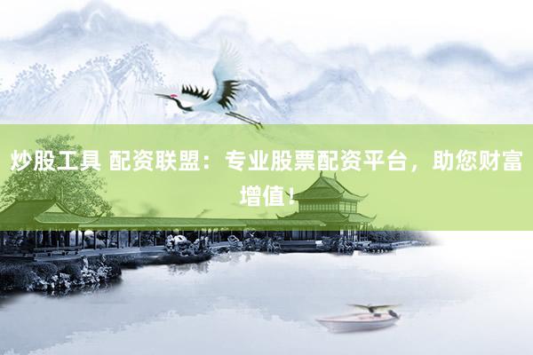炒股工具 配资联盟：专业股票配资平台，助您财富增值！
