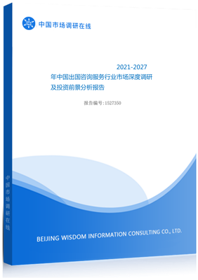 2021年中国出国咨询服务行业市场深度调研及投资前景分析报告